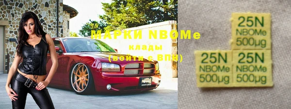 стаф Белокуриха