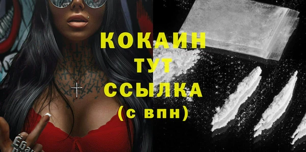стаф Белокуриха