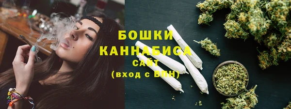 стаф Белокуриха