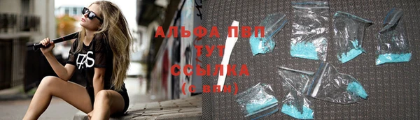 стаф Белокуриха